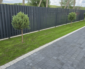 Kiemo, aplinkos apželdinimas - Kra&scaron;tovaizdžio projektai, įgyvendinimas, priežiūra - 4