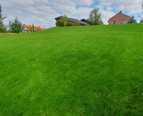 Kraštovaizdžio projektai, įgyvendinimas, priežiūra / MB ŠeiKin kraštovaizdis / Darbų pavyzdys ID 4306931