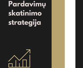 Rinkodara (marketingas) - Seo, Google ir Meta Ads, kurie atveda realius klientus - 4