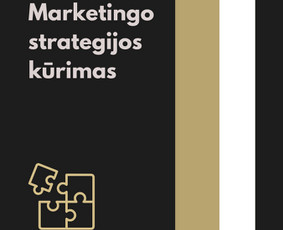 Marketingo strategijos kūrimas - Seo, Google ir Meta Ads, kurie atveda realius klientus - 1