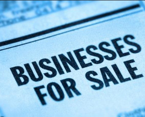 Įmonių pardavimas - Verslo konsultantė - 1