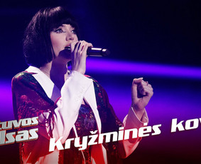 Dainavimo, vokalo pamokos - Vokalo pamokos - 3