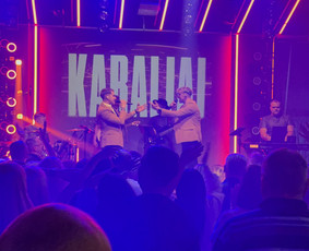 Vakarėliai su pilna programa ! vedėjai, atlikėjai, Dj / Pramogų desantas, MB / Darbų pavyzdys ID 4308211