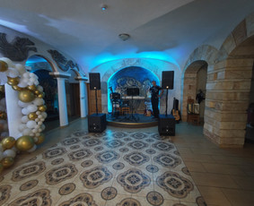 Vakarėliai su pilna programa ! vedėjai, atlikėjai, Dj / Pramogų desantas, MB / Darbų pavyzdys ID 4308227