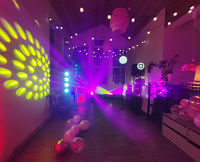 Vakarėliai su pilna programa ! vedėjai, atlikėjai, Dj / Pramogų desantas, MB / Darbų pavyzdys ID 4308233