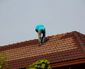 Statybos, apdaila - Stogų ir fasadų dažymas - 2