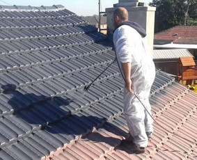 Statybos, apdaila - Stogų ir fasadų dažymas - 1