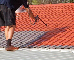 Statybos, apdaila - Stogų ir fasadų dažymas - 3