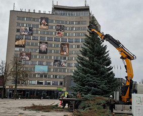 Krovinių pervežimas - Hidromanipuliatoriaus paslaugos - 2