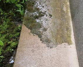 Fasado remontas - Profesionalus medinių ir mineralinių fasadų dažymas - 4