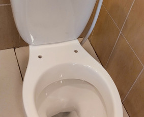 Namų Meistras/ Handyman / Xозяин дома / Maksimas Bružė / Darbų pavyzdys ID 4308813