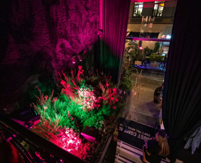 Restoranai, kavinės, barai, salės - Kokteilių baras - 4