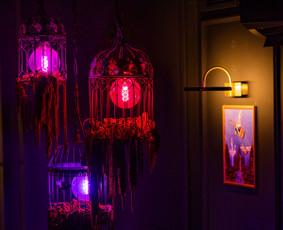 Restoranai, kavinės, barai, salės - Kokteilių baras - 3