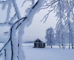 Statybos darbai / Ernestas / Darbų pavyzdys ID 4308959