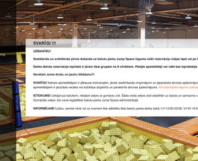 Programavimas su WordPress - Interneto svetainių kūrimas ir Programavimo paslaugos - 4