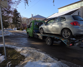 Transportas - Tralo paslaugos kroviniu pervezimas - 2