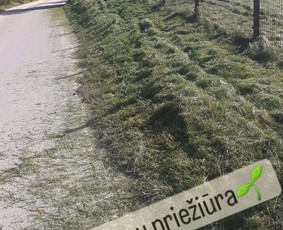 Žolės pjovimas, medžių pjovimas, atliekų išvežimas / Gamtaplius MB / Darbų pavyzdys ID 4309187