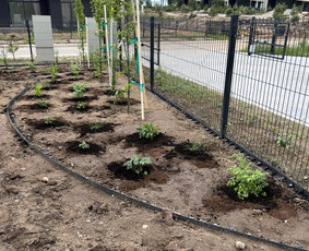 Kraštovaizdžio projektavimas ir apželdinimo sprendimai / Žaliapievė / Darbų pavyzdys ID 4309217