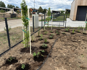 Augalų ir medelių sodinimas - Kra&scaron;tovaizdžio projektavimas ir apželdinimo sprendimai - 4