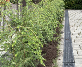 Augalų ir medelių sodinimas - Kra&scaron;tovaizdžio projektavimas ir apželdinimo sprendimai - 2