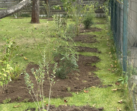 Kraštovaizdžio projektavimas ir apželdinimo sprendimai / Žaliapievė / Darbų pavyzdys ID 4309225
