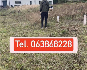 Žolės pjovimas, medžių pjovimas, atliekų išvežimas / Gamtaplius MB / Darbų pavyzdys ID 4309235