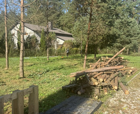 Žolės pjovimas, medžių pjovimas, atliekų išvežimas / Gamtaplius MB / Darbų pavyzdys ID 4309241