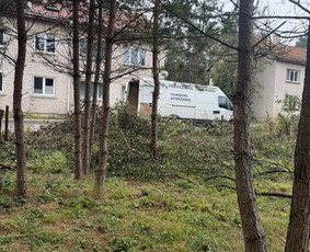 Žolės pjovimas, medžių pjovimas, atliekų išvežimas / Gamtaplius MB / Darbų pavyzdys ID 4309249