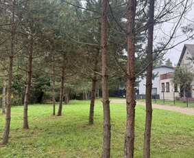 Žolės pjovimas, medžių pjovimas, atliekų išvežimas / Gamtaplius MB / Darbų pavyzdys ID 4309251