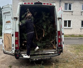 Žolės pjovimas, medžių pjovimas, atliekų išvežimas / Gamtaplius MB / Darbų pavyzdys ID 4309253