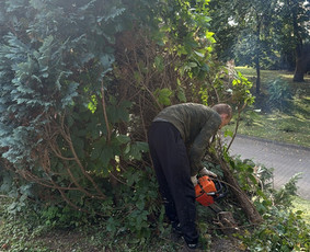 Žolės pjovimas, medžių pjovimas, atliekų išvežimas / Gamtaplius MB / Darbų pavyzdys ID 4309255