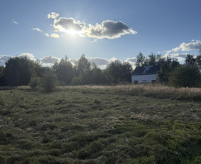 Žolės pjovimas, medžių pjovimas, atliekų išvežimas / Gamtaplius MB / Darbų pavyzdys ID 4309257