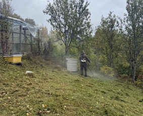 Žolės pjovimas - Žolės pjovimas, medžių pjovimas, atliekų i&scaron;vežimas - 2