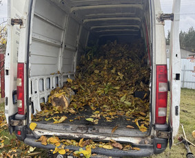 Žolės pjovimas, medžių pjovimas, atliekų išvežimas / Gamtaplius MB / Darbų pavyzdys ID 4309267