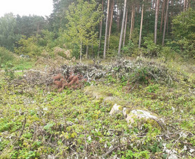 Apleistų sklypų tvarkymas - Žolės pjovimas, medžių pjovimas, atliekų i&scaron;vežimas - 4