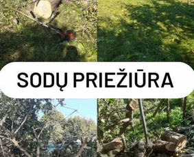 Žolės pjovimas, medžių pjovimas, atliekų išvežimas / Gamtaplius MB / Darbų pavyzdys ID 4309275