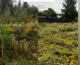 Žolės pjovimas, medžių pjovimas, atliekų išvežimas / Gamtaplius MB / Darbų pavyzdys ID 4309279