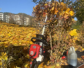 Žolės pjovimas, medžių pjovimas, atliekų išvežimas / Gamtaplius MB / Darbų pavyzdys ID 4309281