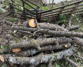 Žolės pjovimas, medžių pjovimas, atliekų išvežimas / Gamtaplius MB / Darbų pavyzdys ID 4309295