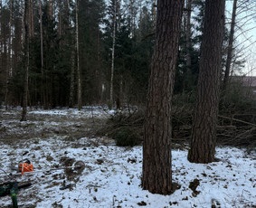 Apleistų sklypų tvarkymas - Žolės pjovimas, medžių pjovimas, atliekų i&scaron;vežimas - 2