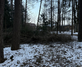Apleistų sklypų tvarkymas - Žolės pjovimas, medžių pjovimas, atliekų i&scaron;vežimas - 1