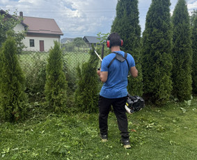 Žolės pjovimas, medžių pjovimas, atliekų išvežimas / Gamtaplius MB / Darbų pavyzdys ID 4309323