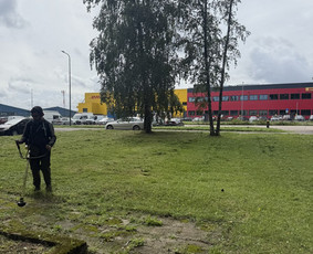 Žolės pjovimas, medžių pjovimas, atliekų išvežimas / Gamtaplius MB / Darbų pavyzdys ID 4309327