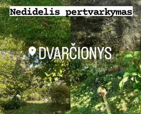 Žolės pjovimas, medžių pjovimas, atliekų išvežimas / Gamtaplius MB / Darbų pavyzdys ID 4309337