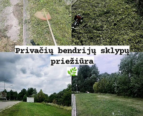 Žolės pjovimas, medžių pjovimas, atliekų išvežimas / Gamtaplius MB / Darbų pavyzdys ID 4309339
