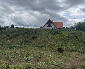 Žolės pjovimas, medžių pjovimas, atliekų išvežimas / Gamtaplius MB / Darbų pavyzdys ID 4309343