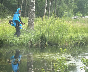 Žolės pjovimas, medžių pjovimas, atliekų išvežimas / Gamtaplius MB / Darbų pavyzdys ID 4309345