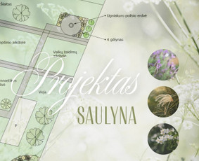 Kra&scaron;tovaizdžio projektavimas - Kra&scaron;tovaizdžio projektavimas ir apželdinimo sprendimai - 3