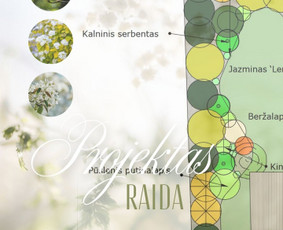 Kra&scaron;tovaizdžio projektavimas - Kra&scaron;tovaizdžio projektavimas ir apželdinimo sprendimai - 2