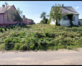 Aplinkos tvarkymas, apželdinimas - Uzleistu sklypu tvarkymas, medžiu ir krumu ispjovimas, isvez - 1